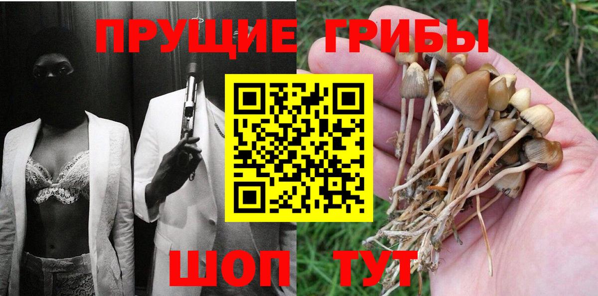 Галлюциногенные грибы ЛСД Кондопога